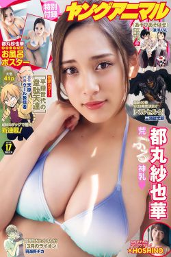 少年派2电视剧完整版
